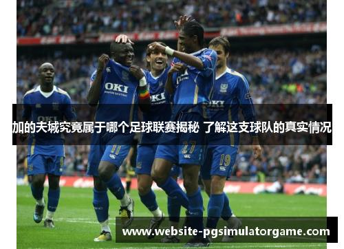 加的夫城究竟属于哪个足球联赛揭秘 了解这支球队的真实情况