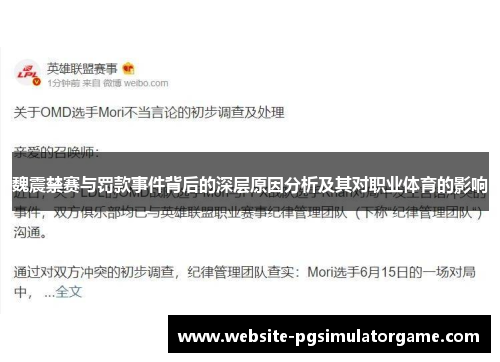 魏震禁赛与罚款事件背后的深层原因分析及其对职业体育的影响