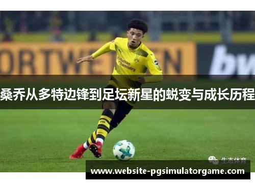 桑乔从多特边锋到足坛新星的蜕变与成长历程